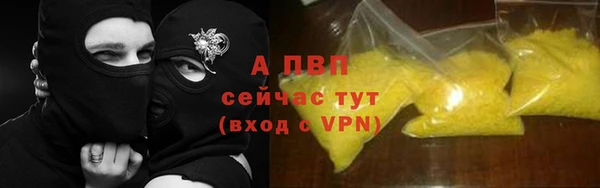 СК Покачи