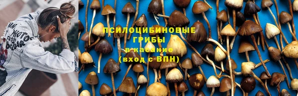 СК Покачи