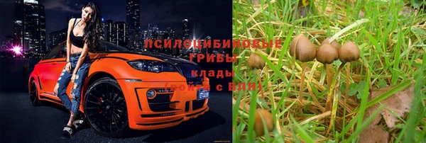 гидропоника Покровск