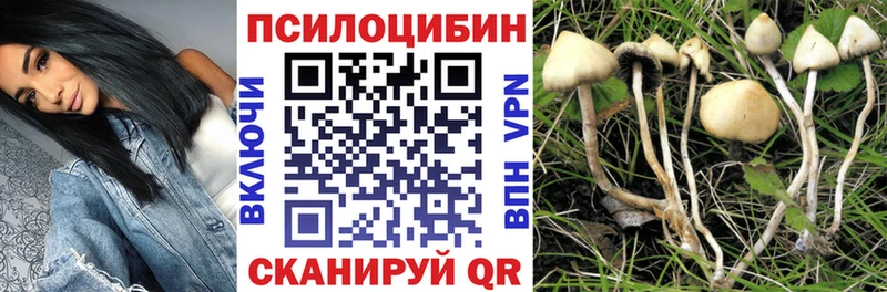 где найти наркотики  Агидель  Псилоцибиновые грибы Cubensis 